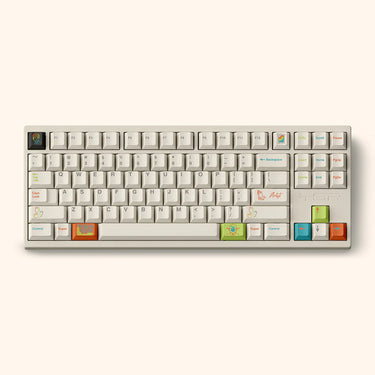 FBB Artist R2