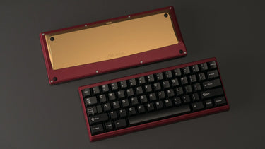 Shy60