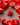 DynaCap™ 1u Sliders