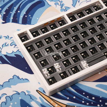 DM81 Keyboard Kit