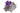 Outemu Purple Tactile Switches