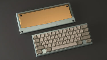 Shy60
