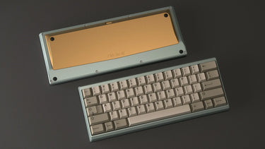 Shy60