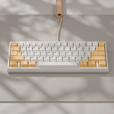 Toro60