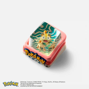 Pokemon Collection by Dwarf Factory (Instock)