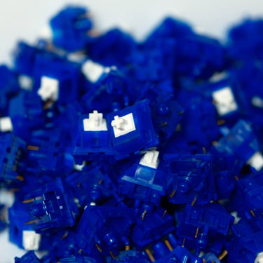 S1-SE Blue Linear Switches