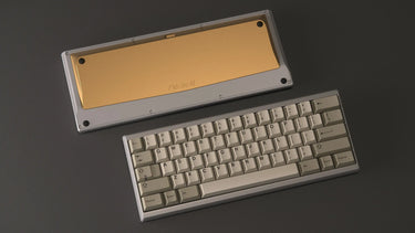 Shy60