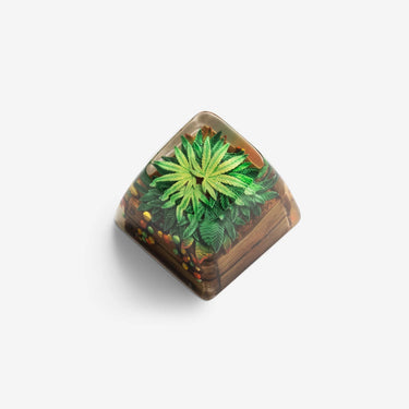 Terrarium V2 by Dwarf Factory