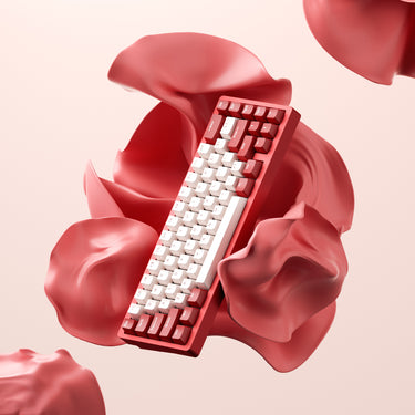 Lucky65 Keyboard Kit