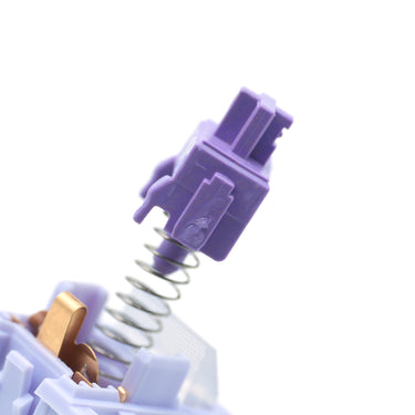 Wingtree Purple Bud Tea Tactile Switches