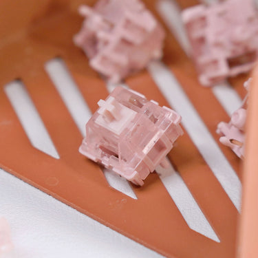 Hutt V2 Tactile Switches