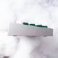 PBTFans Purpolch R2 [PO]