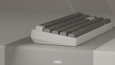 Neo65 Barebones Kit [Instock]