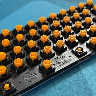 [Limited Pre-Order] Blue Ridge Plates