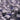 HMX Cosmic Purple Linear Switch