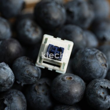 Blueberry Chiffon Tactile V2 Switches