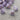 HMX SU Color R2 Purple Linear Mechanical Switch