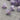 HMX SU Color R2 Purple Linear Mechanical Switch