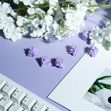 Gateron Grape Smoothie Silent Tactile Switches