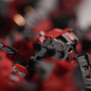 Guns & Roses Linear Switch