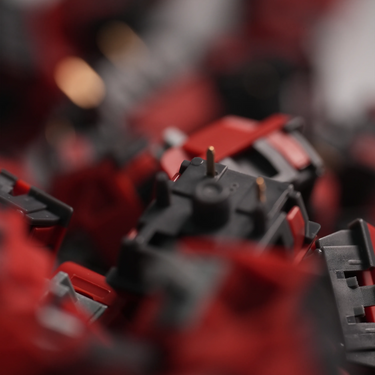 Guns & Roses Linear Switch