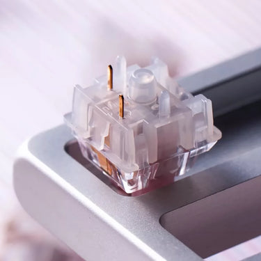 Haimu Pink Salt Silent Tactile Switches