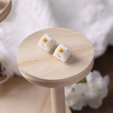 Little Ghost Mechanical Switches
