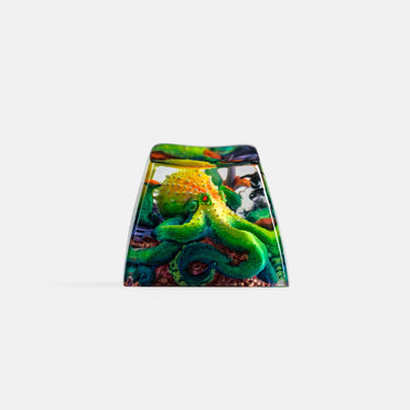 Kraken Absolut by Dwarf Factory [Instock]