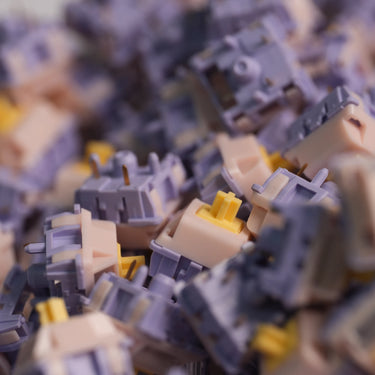 Princess V4 Tactile Switches