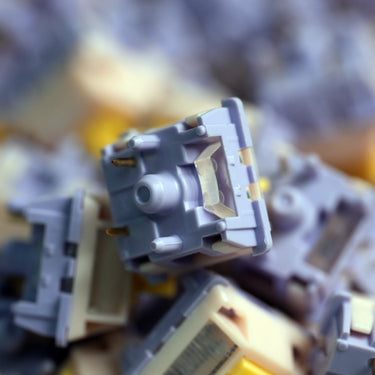 Princess V4 Tactile Switches