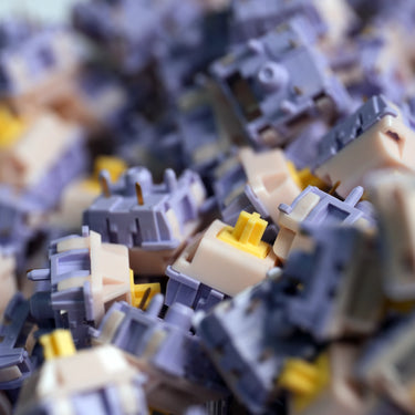 Princess V4 Tactile Switches